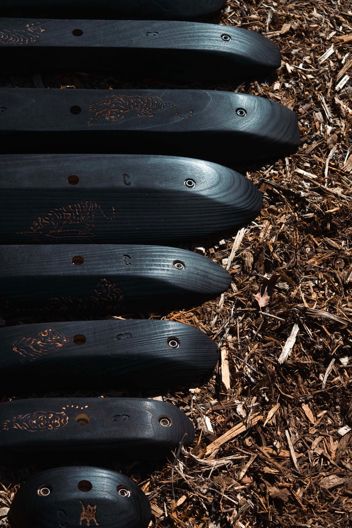 Tiger Hold Set